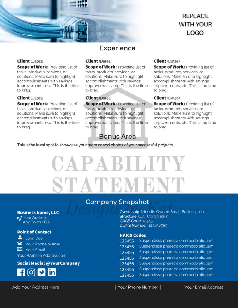 Capability Statement Design for Technology Company